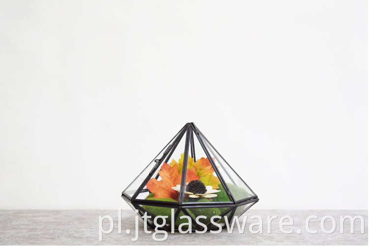 Terrarium Planter7